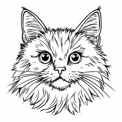 Fototapeta premium Detailed illustration of a fluffy cat's face with prominent eyes and whiskers on a plain background. Generative AI