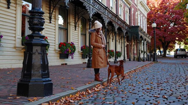 Historic City Stroll with Loyal Dog