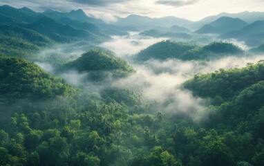 Obraz premium Misty Mountain Majesty: A Verdant Panorama
