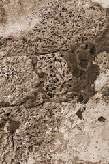 Textured Stone Wall Close-Up Sepia Tone Weathered Detailed Surface