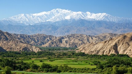 Obraz premium Panoramic view of snow-capped mountains and a verdant valley.