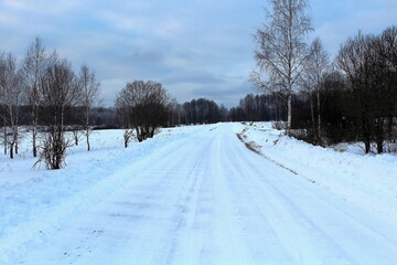 winter road in the forest