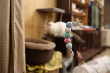 The cat teaser toy is hanging on Velcro. A few teddy balls together. A cat in the background.