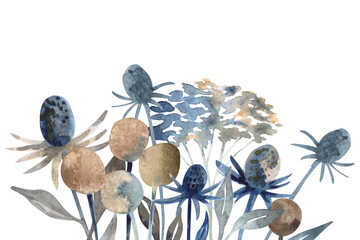 Hand painted watercolor light blue and beige flowers composition on transparent background.