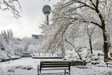 Ankara in snow - Botanical Park after a long snow in Ankara, the capital of modern Turkey