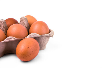 Brown eggs in an egg tray on a white background.