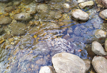 a fragment of a mountain river on a shallow riverbed, autumn in nature
