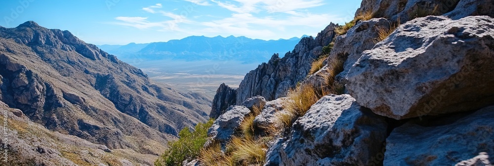 Poster guadalupe mountains national park