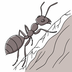 ant vector illustration