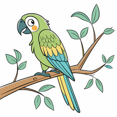 parrot on branch
