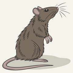 sketch of a mouse