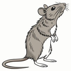 sketch of a mouse