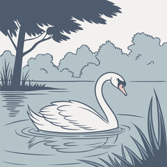 swan on the water