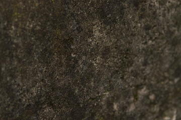 Stone wall surface displays intricate patterns of vibrant moss and fungal growth, showcasing age...