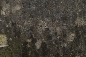 Stone wall surface displays intricate patterns of vibrant moss and fungal growth, showcasing age and decay
