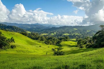 Fototapeta premium Rolling green hills, lush forest, blue sky, fluffy clouds.