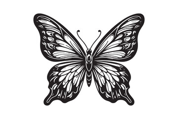 A clean black outline of a butterfly 10.eps