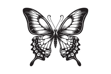 A clean black outline of a butterfly 16.eps