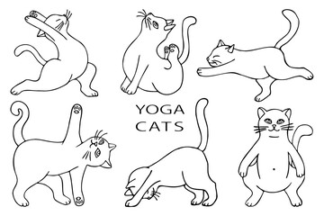 a set of outline drawings of yoga cats, hand-drawn in a cartoon style.