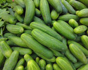 cucumbers in the market