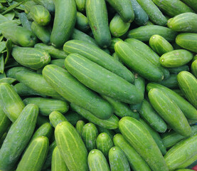 cucumbers on the market