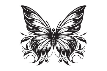 Obraz premium A clean black outline of a butterfly 36.eps