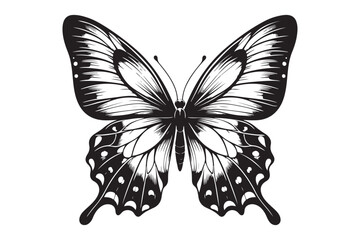 A clean black outline of a butterfly 48.eps