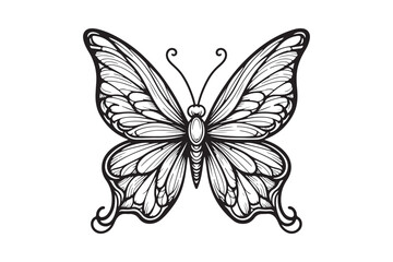 A clean black outline of a butterfly 50.eps