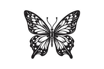 A clean black outline of a butterfly 51.eps