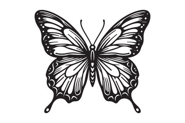 A clean black outline of a butterfly 53.eps