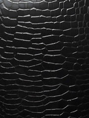 Black Crocodile Leather  leather close-up texture flat lay background