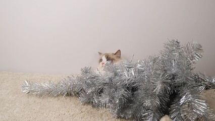 A cute cat lies near  the fallen plastic Christmas tree.