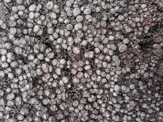 black and white texture