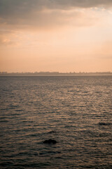 The sea, the horizon is visible. Warm weather, a breeze at sea.