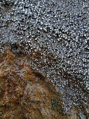 close up of water drops