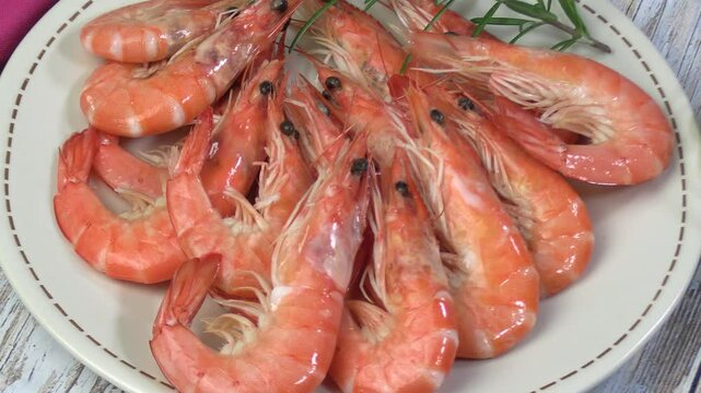 assiettes de crevettes et bulots, en gros plan