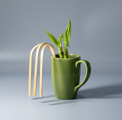 Tongue cleaner made of bamboo in a ceramic cup with bamboo shoot / leaf