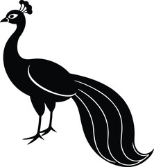 Silhouette of a Peacock vector illustration
