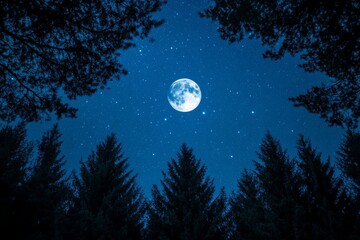 Naklejka premium starry night sky with a bright full moon, framed by silhouettes of tall trees landscape