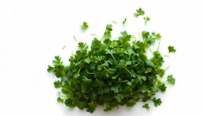 Fototapeta premium Dried Parsley Pile, Top View