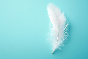 Obraz premium White feather flying on blue background. Abstract bird feather falling on color background. Symbol of peace or freedom concept. Generated AI