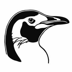 illustration of a bird