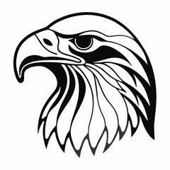 eagle head vector illustration