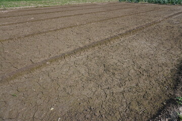 The agricultural field got cracked due to lack of water