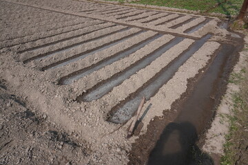 The entire agricultural field got watered by the smooth irrigation system