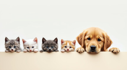 cute kittens and dog peeking out from around the corner
