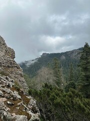 Lush mountain landscape with fog