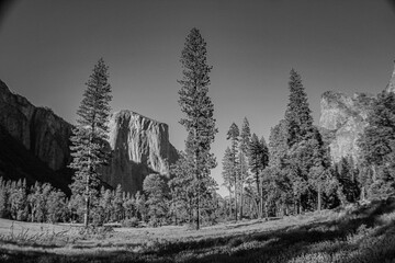 El Capitan in Yosemite Valley