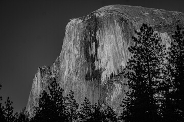 Half Dome through the Pines © Lauren Parker