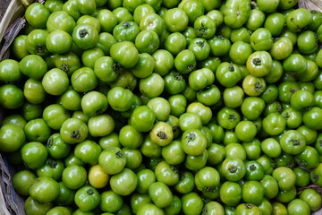 Fresh green tomatoes has come directly from agricultural field to the vegetable godown 